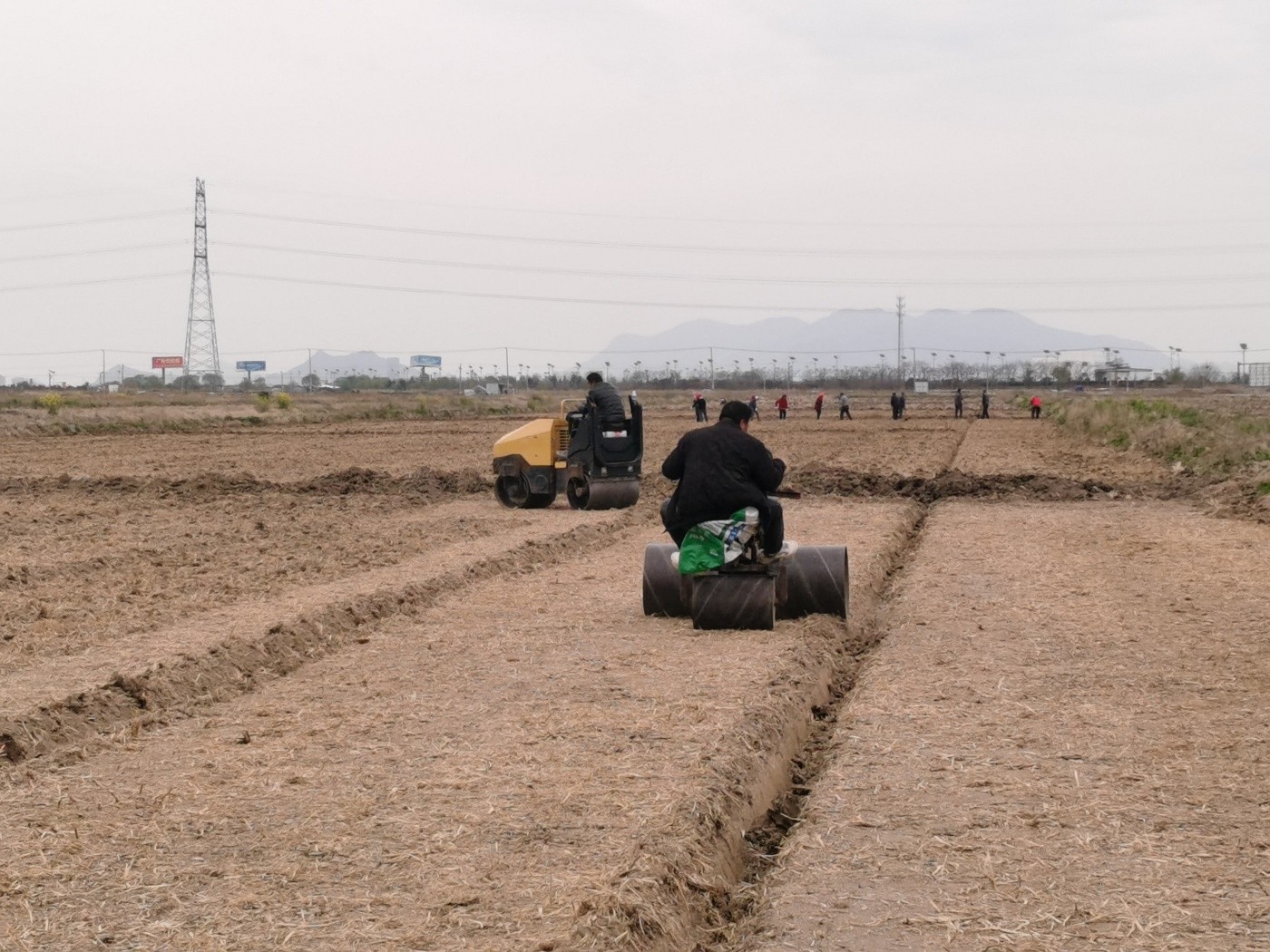 秧板田整理2_副本